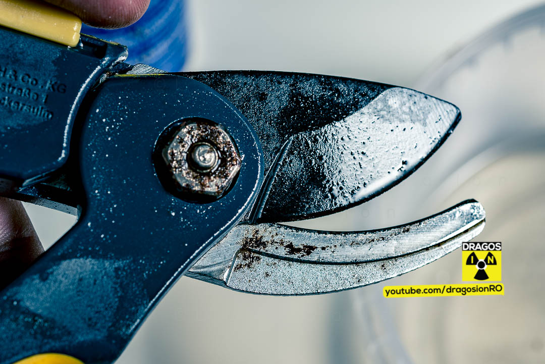 Remove Rust From Garden Tools ION HowTo