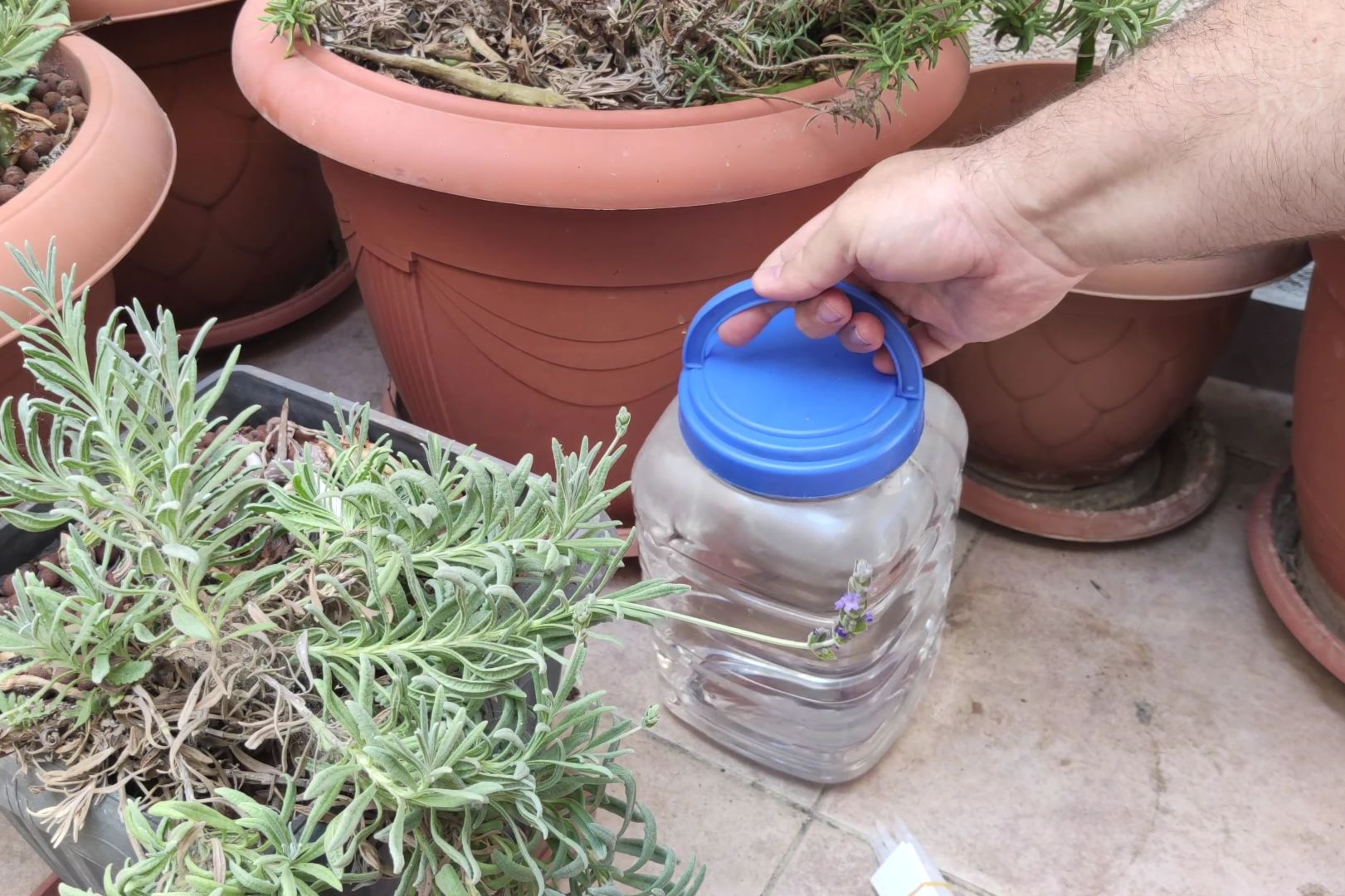 Micro-drip irrigation water container