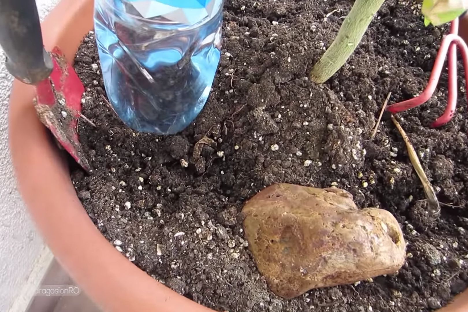 Self watering bottle close-up