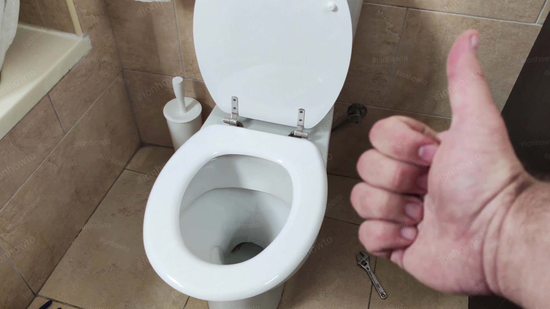 Toilet Seat Replacement