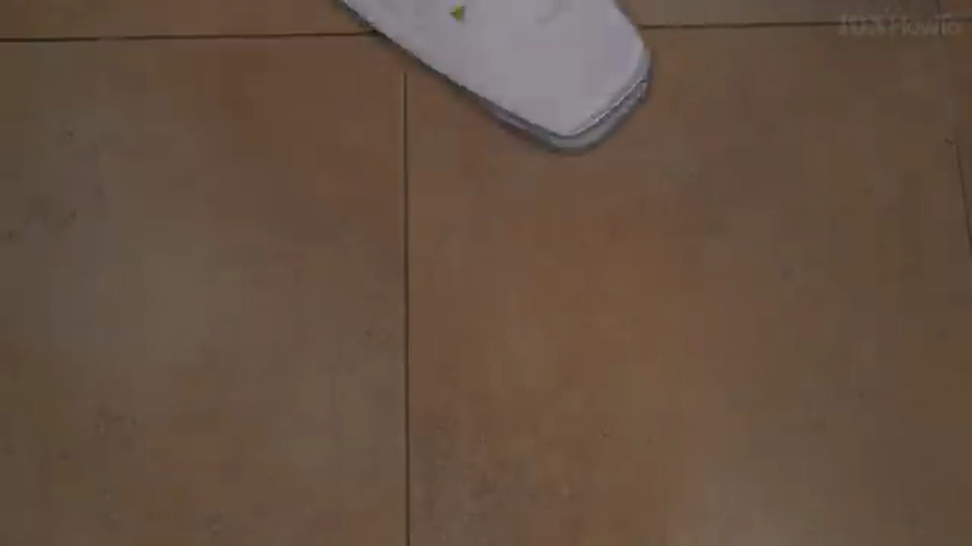 SilverCrest Steam Mop Floor Cleaning Test